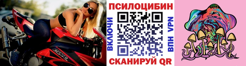 Псилоцибиновые грибы GOLDEN TEACHER  Галич 