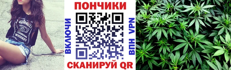 закладки  Галич  гидра сайт  Марихуана гибрид 